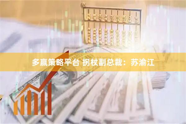 多赢策略平台 拐杖副总裁:苏渝江