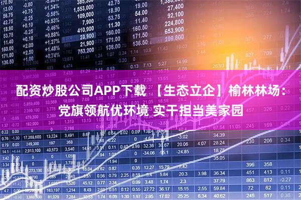 配资炒股公司APP下载 【生态立企】榆林林场：党旗领航优环境 实干担当美家园